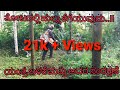 ಅಡಿಕೆ ತೋಟದಲ್ಲಿ ಕಳೆ ತೆಗುಯುವ ಯಂತ್ರ.. #farm #areca #coca #grass #cutting #review #vlog #kannada #tulu