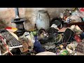 We Spent One Month Transforming an Elderly Woman’s Home | The Final Result Was Heartwarming