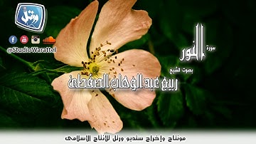 الشيخ ربيع عبد الوهاب الصفطى-سورة النور(برواية حفص عن عاصم)