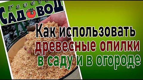 Как использовать древесные опилки в саду и в огороде