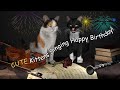 CUTE Kittens Singing Happy Birthday