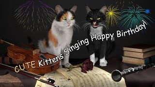 CUTE Kittens Singing Happy Birthday