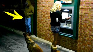 A man attacked a girl near an ATM. But the dog did the Incredible thing!