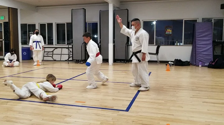 Samena karate
