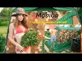 Mobiba - Самый Честный Отзыв и Мой Опыт Использования Мобильной Бани