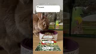 Lalimentation De Ton Lapin - La Pyramide