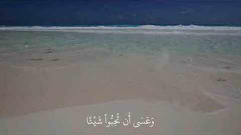 "وَعَسَىٰ أَن تَكْرَهُوا شَيْئًا وَهُوَ خَيْرٌ لَّكُمْ ۖ " #سورة_البقرة