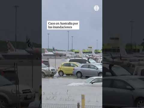 Cocodrilos por las calles, aviones en el agua... Caos en Australia por las inundaciones