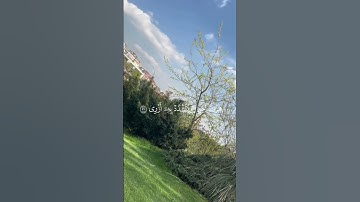 ‏ القارئ محمد خالد قال ربي اشرح لي صدري ويسر لي أمري واحلل عقدة من لساني #اكسبلور #funny ￼