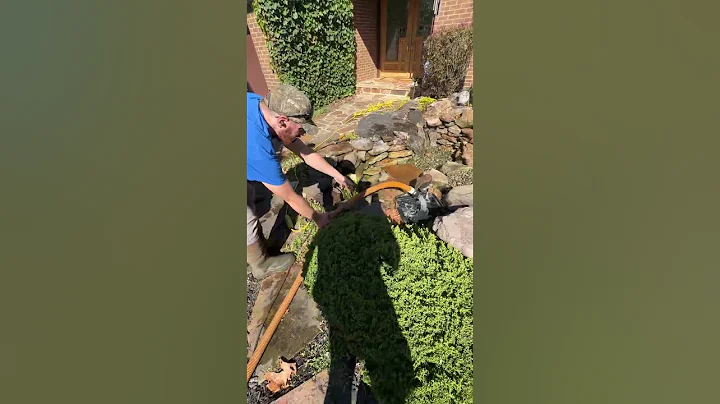 How we DEEP CLEAN, POWER WASH a small KOI POND! 💦  - PART 2 | #shorts