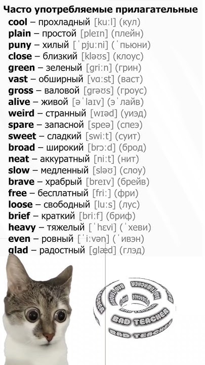 🇺🇸Прилагательные на английском #english #английский #englishspeaking # ...