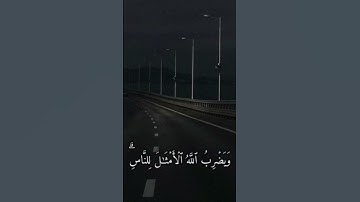نور على نور بصوت القارئ شريف مصطفى
