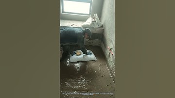Foam Cement Bathroom Fill! Worker Uses Inflatable Bladder to Protect Pipe Space - Smart Renovation 🔥
