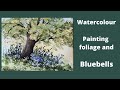 Watercolour, painting foliage and bluebells.