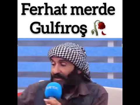 Ferhat merde Gulfıroş