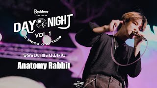 ธรรมดาแสนพิเศษ Extraordinary - Anatomy Rabbit | Reddoor presents DAY NIGHT II Mood and Tone Vol.1