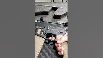 Raven Elite Binary Trigger Programming