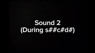 Audio sound from Rorochan's final livestreaming