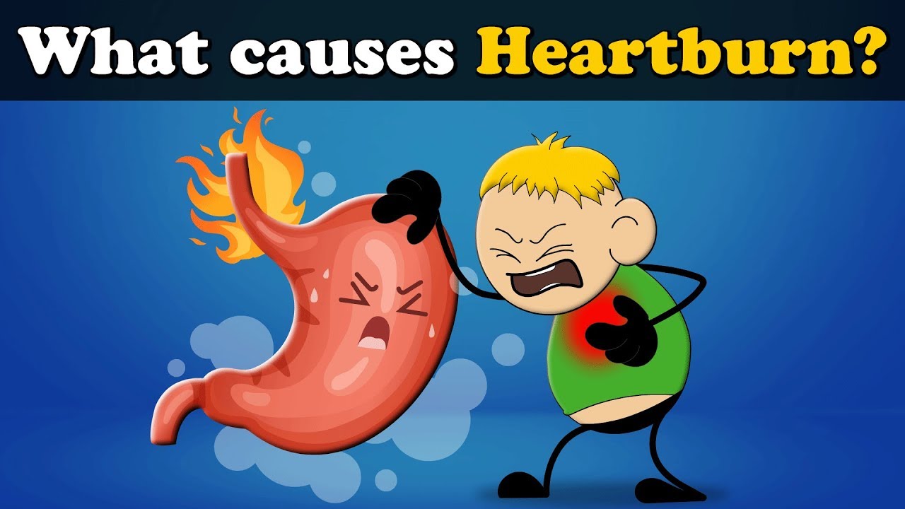 What causes Heartburn? | #aumsum - YouTube