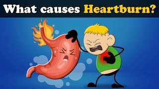 What causes Heartburn? + more videos | #aumsum #kids #science #education #children