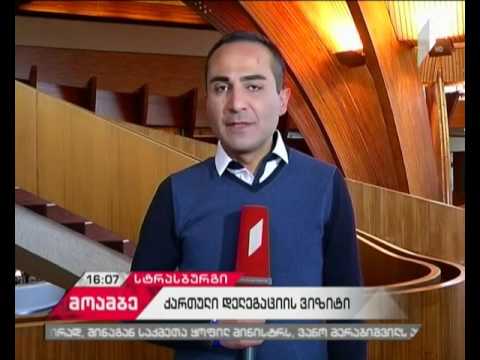 საქართველოს დელეგაცია სტრასბურგში -  შეხვედრა ვენეციის კომისიის მდივანთან