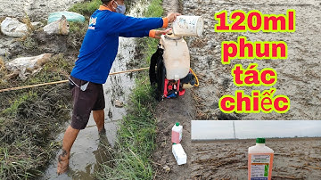 Cách nông dân diệt mầm lúa cỏ và cỏ dại sau 2 ngày xạ an toàn hiệu quả