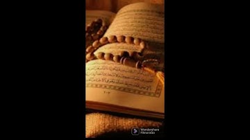 القران الكريم سورة الكوثر #القرآن_الكريم #قرآن