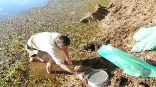 Jigging for diamonds in Western Australia