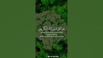 يا ايها الانسان ما غرك بربك الكريم  || عبدالباسط عبدالصمد حالات واتس || قرآن كريم 🌙🌨️