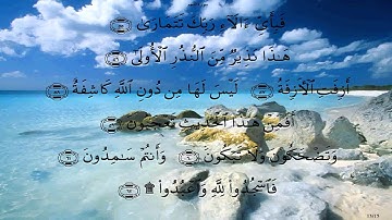 جزء الذاريات - ماهر المعيقلي برواية حفص