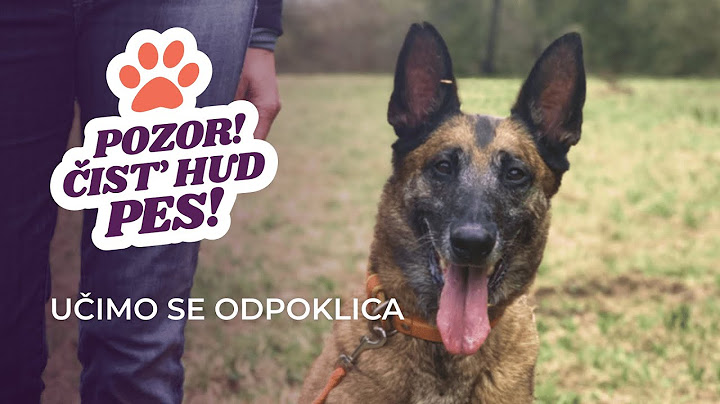 Pozor! Čist` hud pes! - Učimo se odpoklica