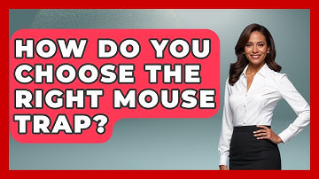 How Do You Choose The Right Mouse Trap? - Insects and Invaders
