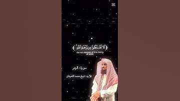 سورة الزمر تلاوته شيخ محمد اللحيدان
