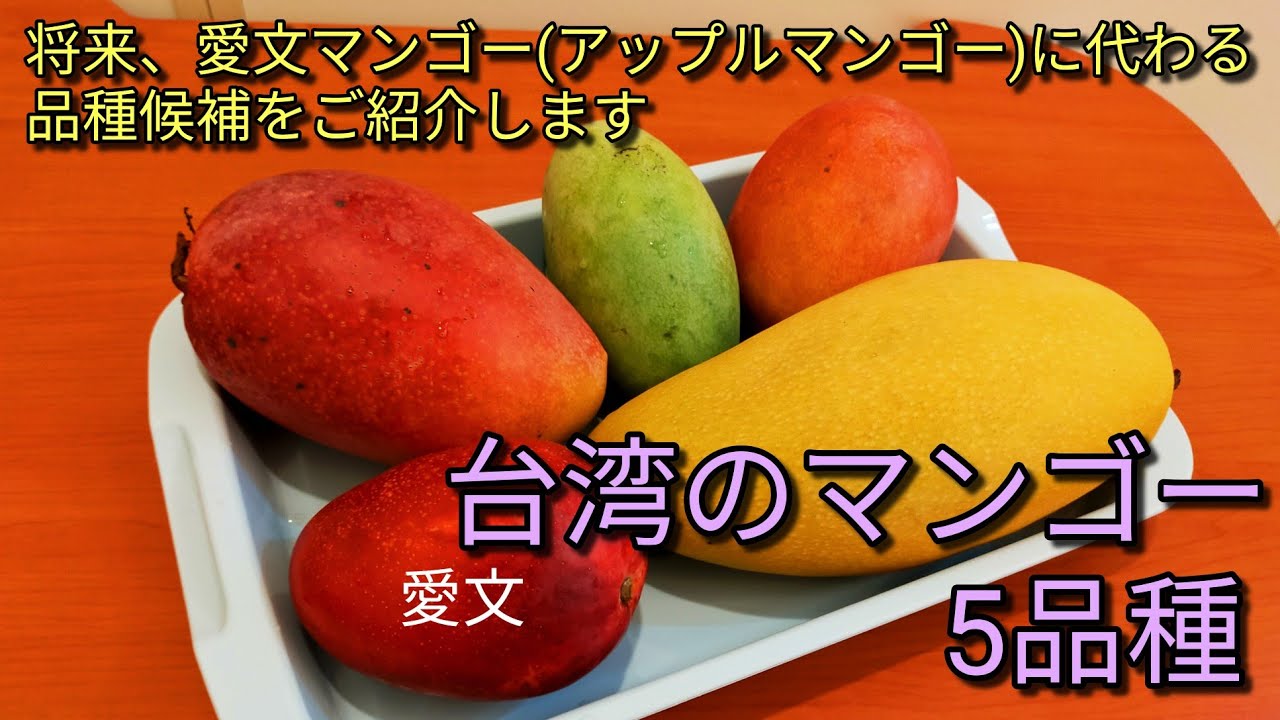 レンブ静岡　【熱帯果樹】イエロー釈迦頭 台湾フルーツ】台湾の冬のフルーツである釈迦頭、レンブをご紹介します