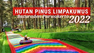 HUTAN PINUS LIMPAKUWUS Baturaden Purwokerto - review terbaru 2022