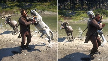 RDR2- All Animal Attack And Bite Animation Epic Wild Moments