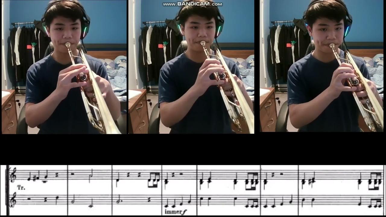 Trumpet excerpt from Wagner Die Meistersinger von Nürnberg Vorspiel