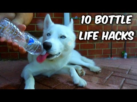 10 Plastic Bottle Life Hacks