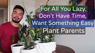 5 LowMaintenance Houseplants for The Lazy Plant Parent