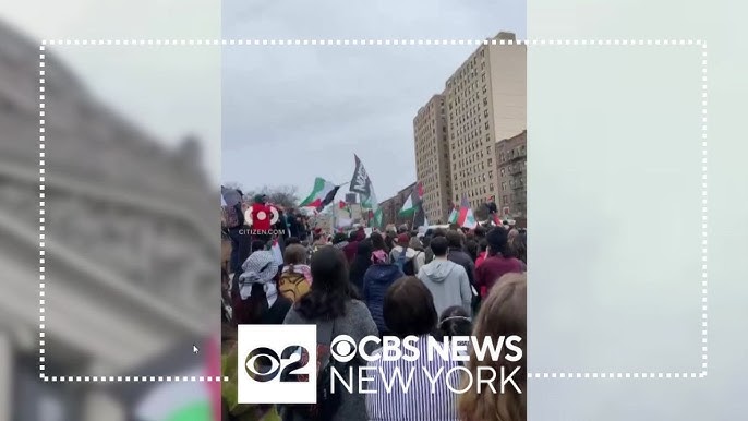Pro Palestinian Supporters Hold Rally Outside Brooklyn Museum