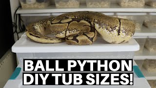 Best Ball Python Tubs For DIY Snake Racks - Benjamin's Exotics