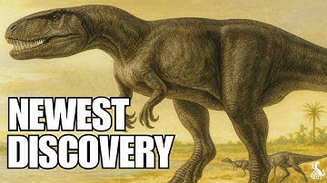 What Saurophaganax Really Was: New Fossil Evidence Reveals the Truth | Science Docummentary