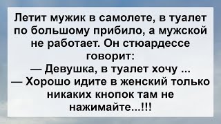 Мужик В Туалете И Стюардесса ...! Анекдот Дня Для Настроения! Юмор! Смех! Позитив!