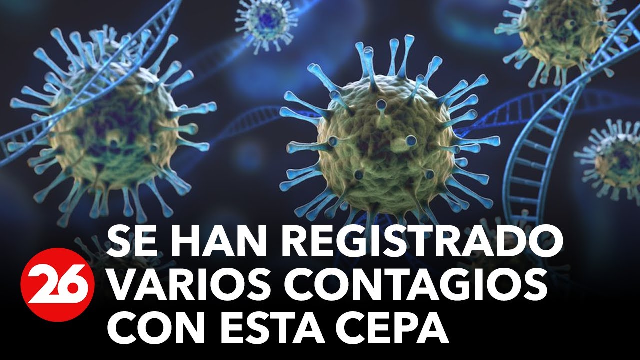 Circula una nueva variante de coronavirus en Ecuador