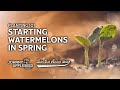 Planting 101 | Starting Watermelons In Spring