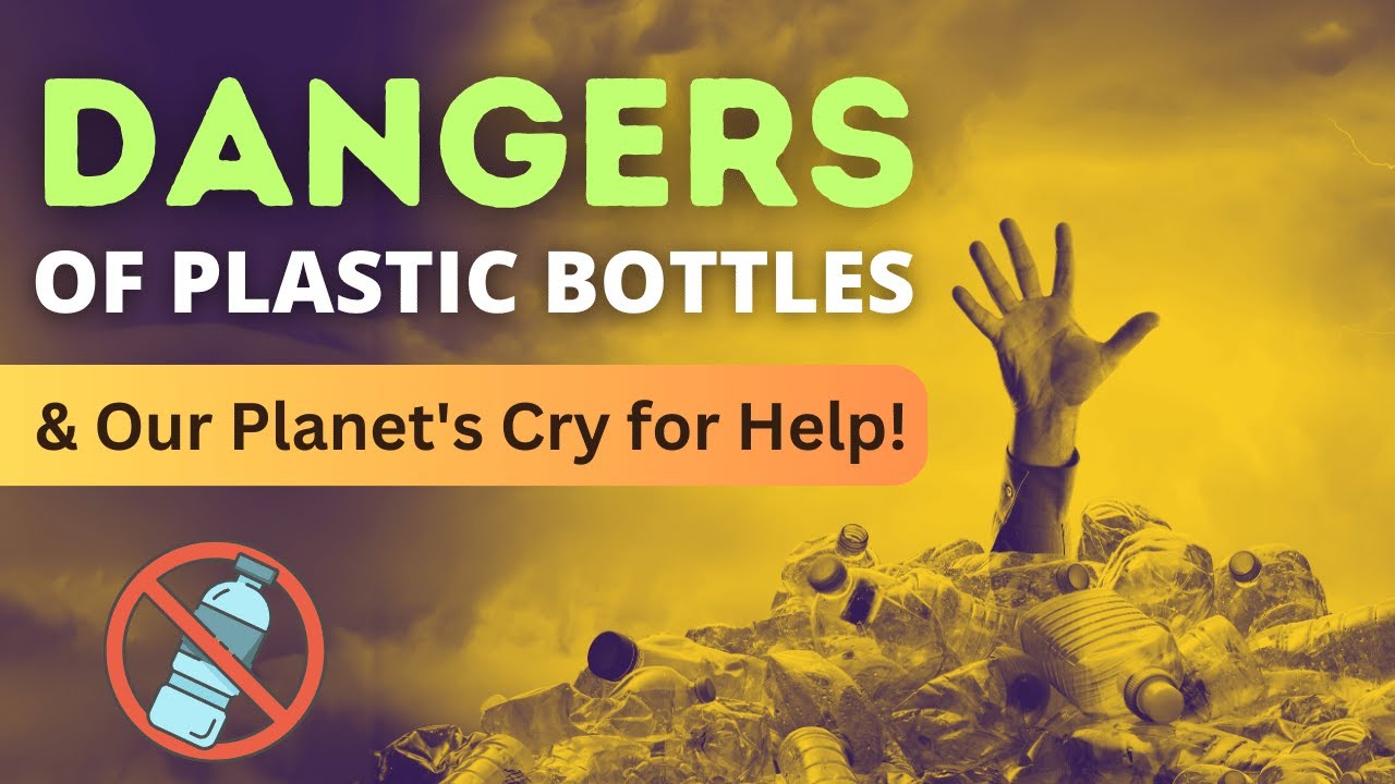 Plastic Bottle Pollution Water in Plastic Bottle is it Safe to Drink