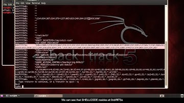 Buffer Overflow Exploit - 2a