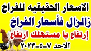 اسعار الفراخ البيضاء اليوم/ سعر الفراخ البيضاء اليوم الاحد 7-5-2023 في مصر #اسعار_الفراخ_اليوم