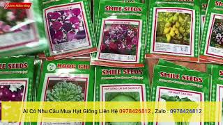 Tổng Hợp Những Giống Rau Củ Dễ Trồng, Nhanh Thu Hoạch | Những loại hạt giống rau củ quả độc và lạ