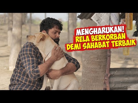 Video: Terapi Anjing Dan Pet Tikus Memiliki Persahabatan Magis Yang Paling Bisa Hanya Dimimpikan